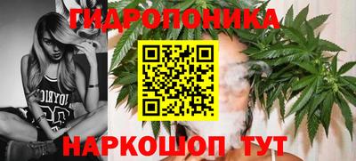 Альфа ПВП Кингисепп