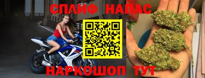 Альфа ПВП Кингисепп