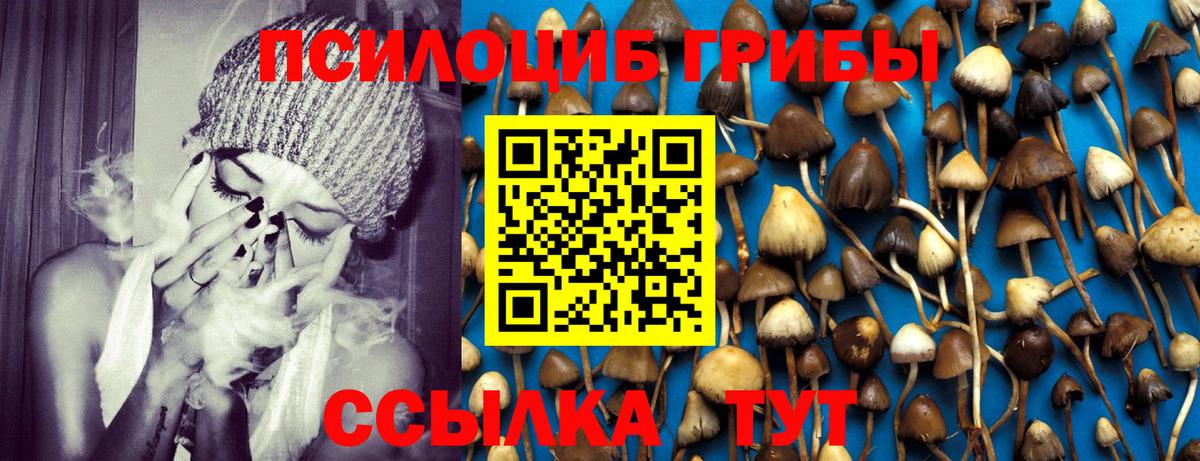 Галлюциногенные грибы Psilocybe  Вход с VPN  Чусовой 